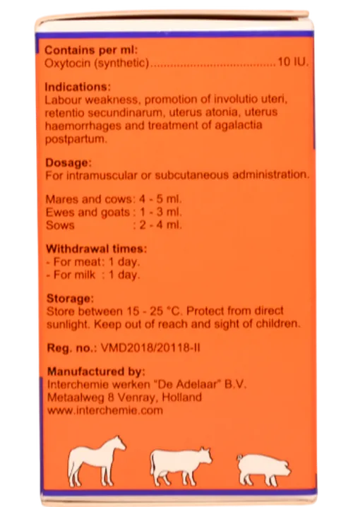 OXYTOCIN -10 SYNTHETIC 50MLS ELGON