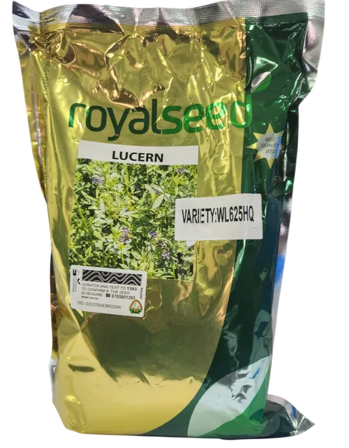PASTURE GRASS ALFAFA SEED(LUCERN) 1KG ROYAL SEED