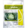 CABBAGE ESCAZU F1 2500 SEEDS SYNGE