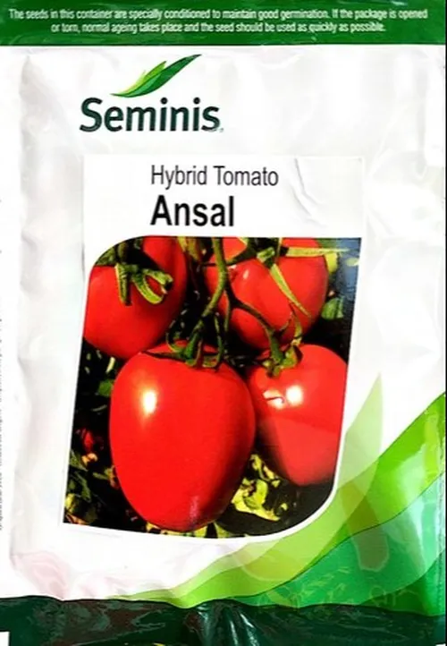 TOMATO ANSAL 5000SEEDS