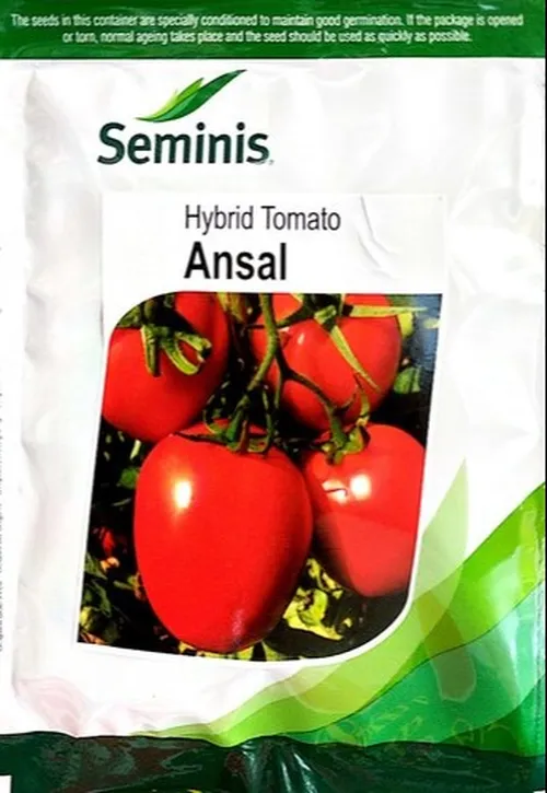 TOMATO ANSAL 10,000SEEDS