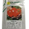 TOMATO BOLGAN F1 5000SDS
