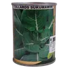 COLLARDS 50GMS ROYAL SEED