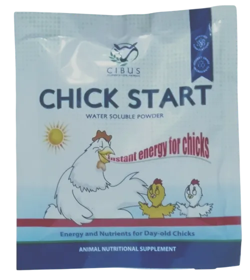 POULTRY VITAMIN CHICKSTART WSP 30GMS VETCARE