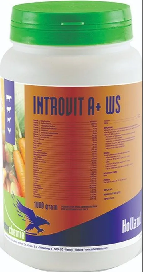INTROVIT A+WS 30GMS