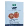 TOMATO STAR 9068 F1 1,000SEEDS