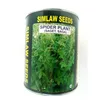 SAGET (SPIDER PLANT)  250GMS SIM