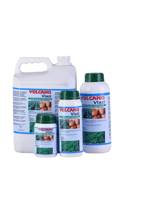 VOLCANO VIAZI 250MLS