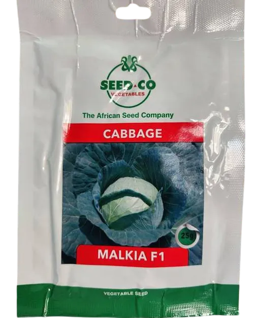 CABBAGE MALKIA F1 10GMS