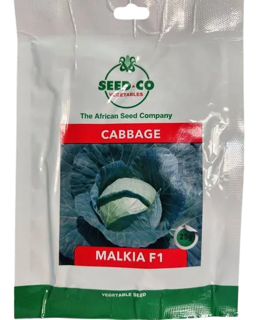 CABBAGE MALKIA F1 50GMS