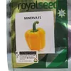 PEPPER MINERVA F1 100SEEDS ROYAL