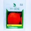 TOMATO TM 20 F1 10000SDS