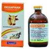 DEXAMETHASONE DEXAPHAN 50MLS MEDIN