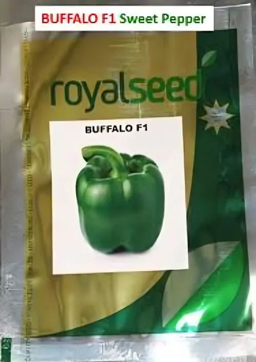 PEPPER BUFFALO 5GMS  ROYAL SEED
