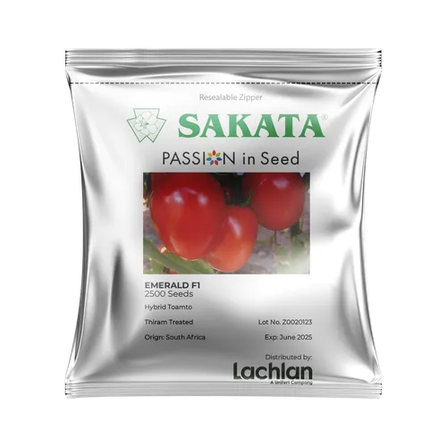TOMATO EMERALD F1 2500SDS LACHLAN