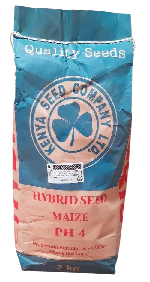 MAIZE PH4 2KG HYBRID