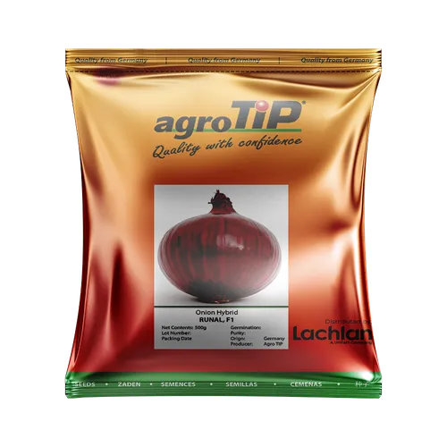 ONION RUNAL F1 500GMS LACHLAN