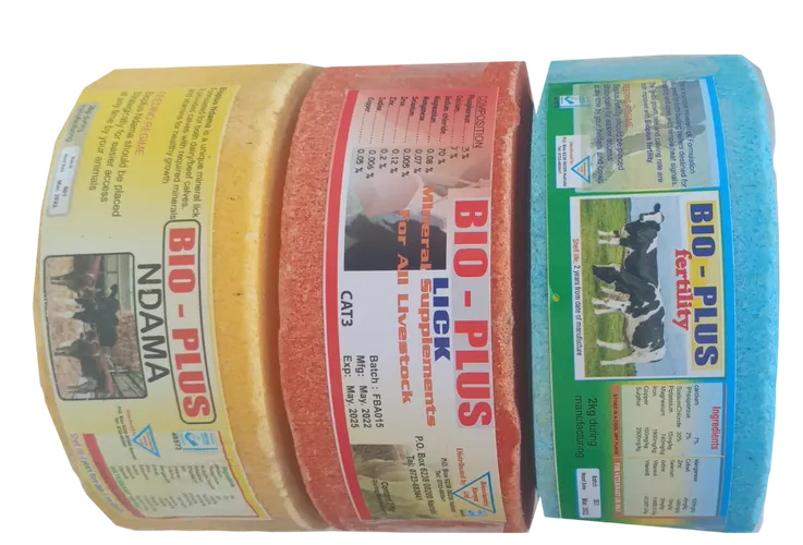 BIO-PLUS MINERAL BRICK  1KG BIO-SCIENCE.