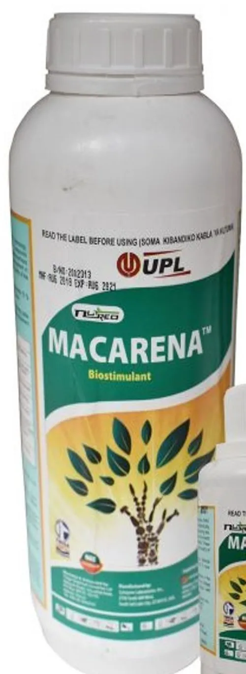 MACARENA 1LTR