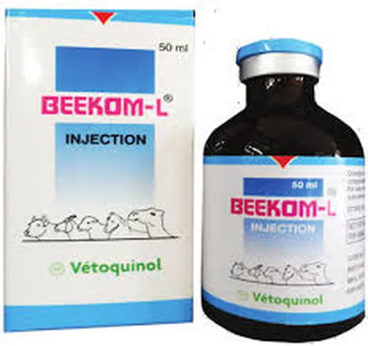 BIEKOM-L 100ML (MULTIVITAMIN)