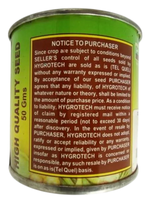 CORRIANDER AMERICAN 50GM HYGROTECH