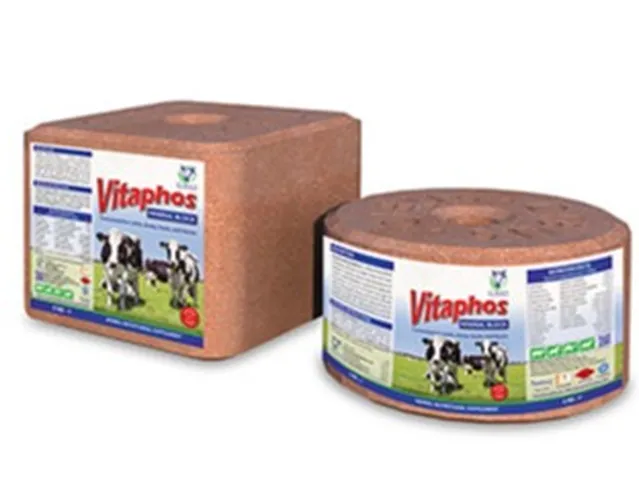 CIBUS VITAPHOS MINERAL BLOCKS 3KG