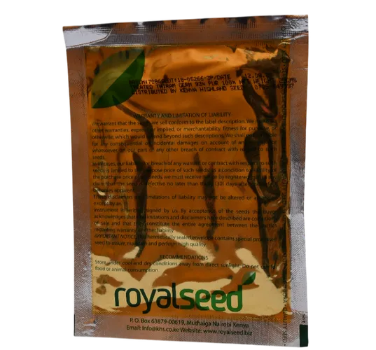 CABBAGE COPENHAGEN  25GMS ROYAL SEED