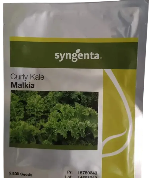 KALE CURLY MALKIA FI 1000SEEDS