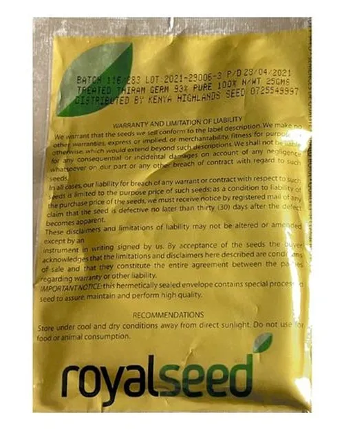 GREEN ZUCHINNI 25GMS ROYAL SEED (SQUASH)