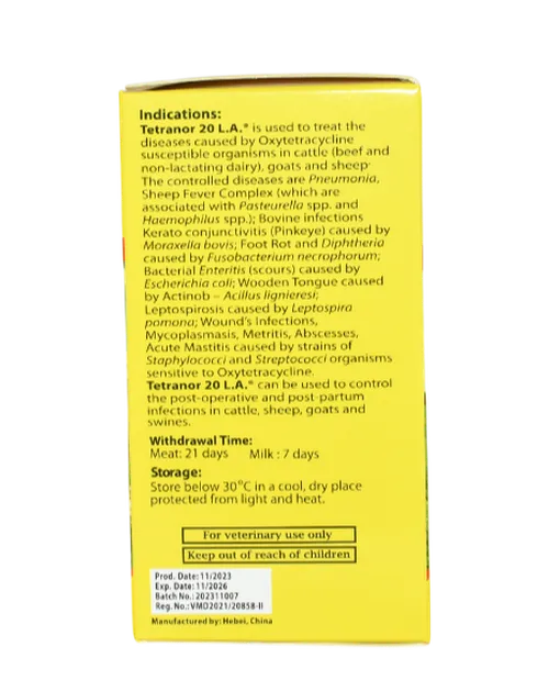 OXYTETCYCLINE 20% 100ML (TETRANOR) JUBAILI