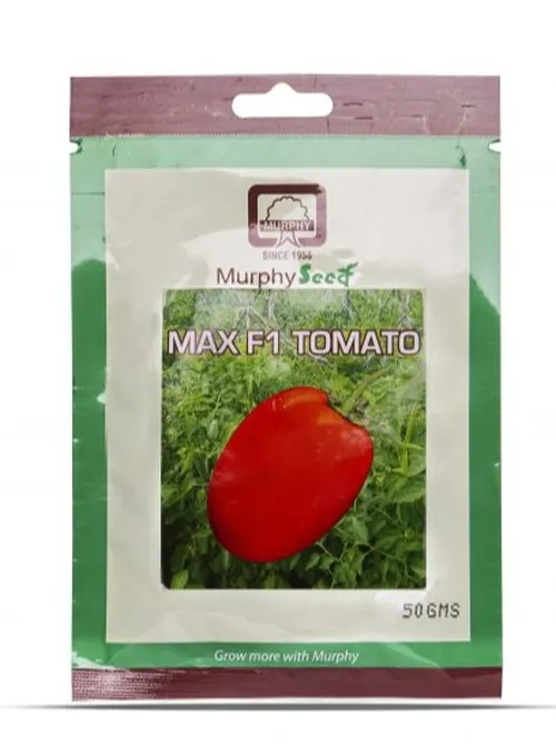 TOMATO MAX F1  50GM MURPHY