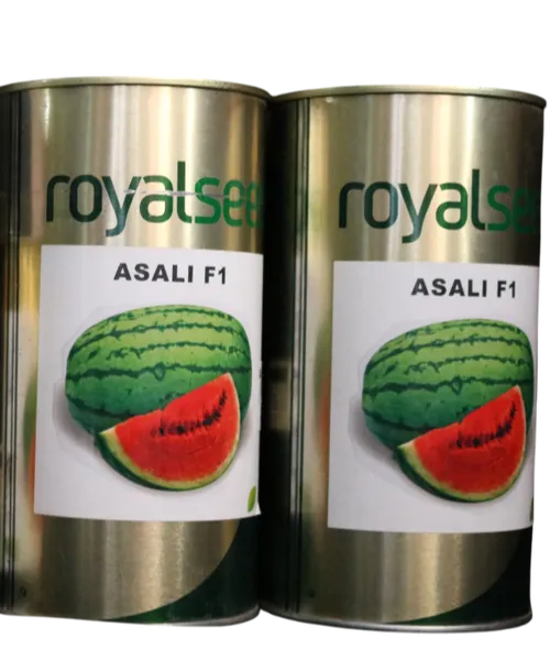 W MELON ASALI 1KG ROYAL SEED