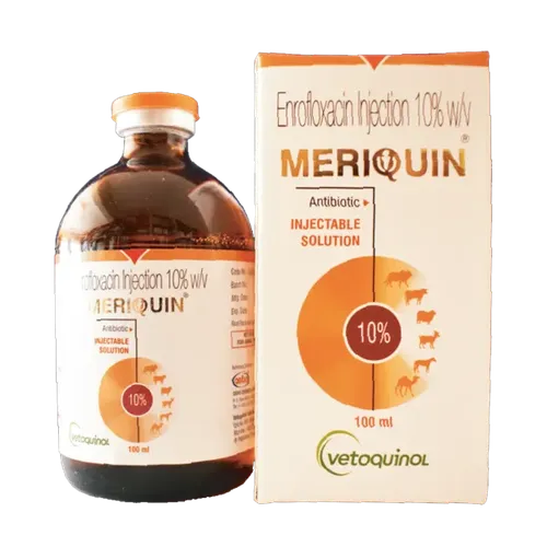 QUININTAS  INJECTION 100ML (MERIQUIN)