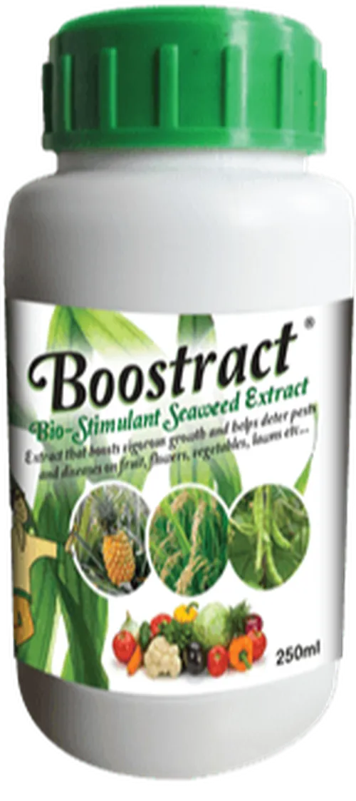 BOOSTRACT 100ML (jubaili)