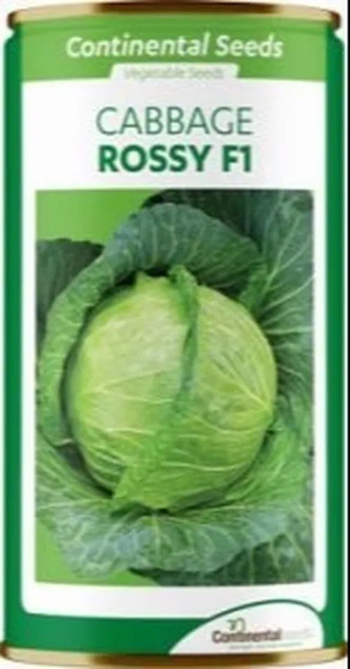 CABBAGE ROSSY F1 50GMS CONTI