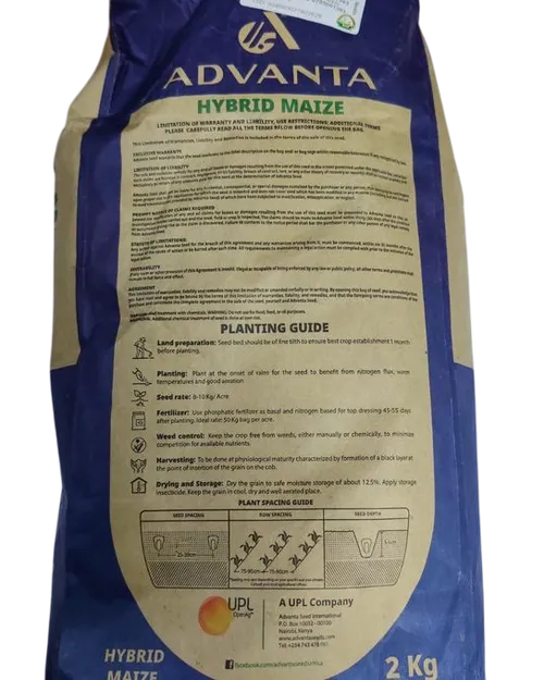 MAIZE  ADVANTA 2308W 2KG