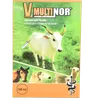 V-MULTINOR INJ 250ML (multivitamin) JUBAILI