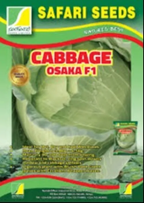 CABBAGE OSAKA F1 5GMS SAFARI