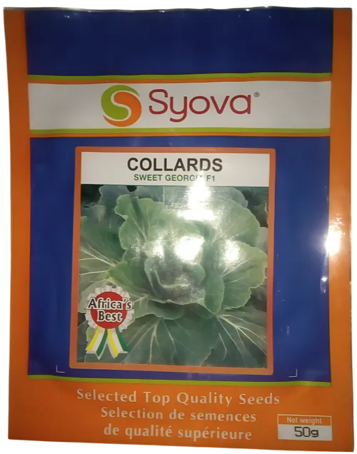 COLLARDS SWEET GEORGIA F1 5GMS (MFALME)AGRISCOPE