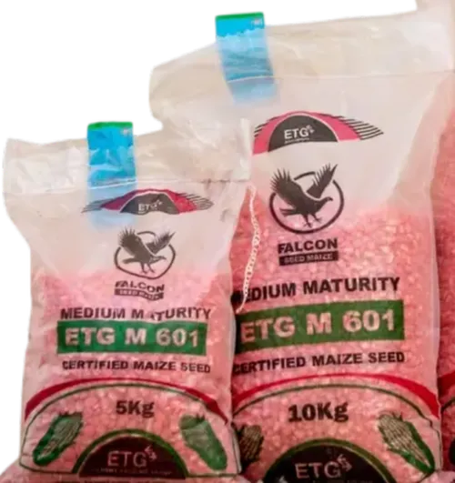 MAIZE ETG M 601 HYBRID 2KGS