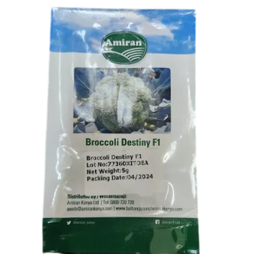 BROCCOLI DESTINY F1 5GMS AMIRAN
