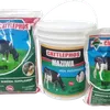CATTLEPHOS MAZIWA 5KGS (BUCKET)