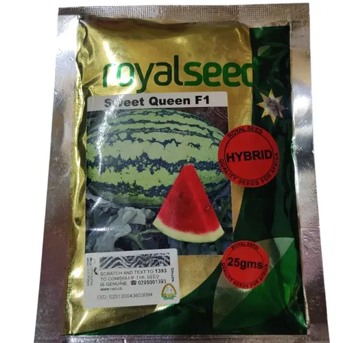 W MELON SWEET QUEEN F1 250GMS ROYAL SEEDS