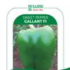 SWEET PEPPER GALANT F1 10GMS EA