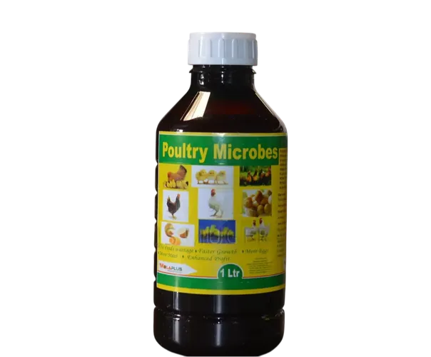 POULTRY MICROBES 1LTR MOLAPLUS