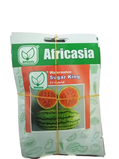 W MELON 405 SUGAR KING  F1 10GM AFRICASIA
