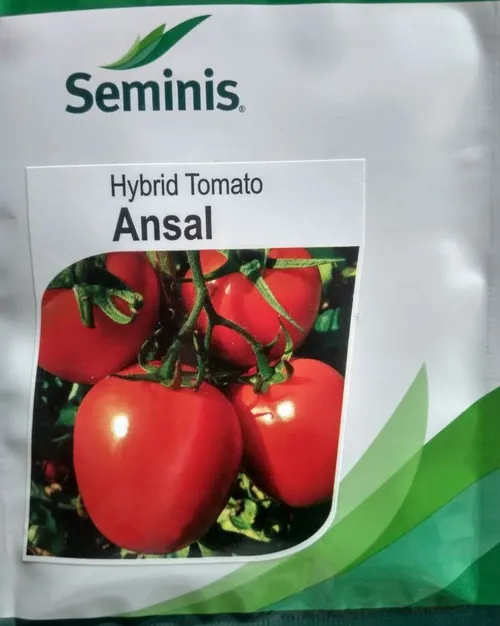 TOMATO ANSAL F1 100GMS(4*25GMS)