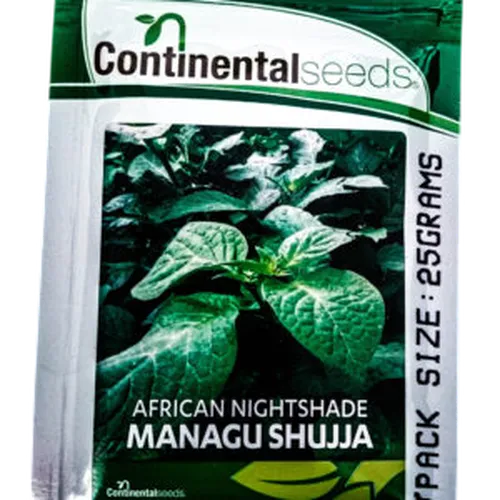 BROAD NIGHTSHADE MNAVU SHUJJA 50GMS CONTINENTAL