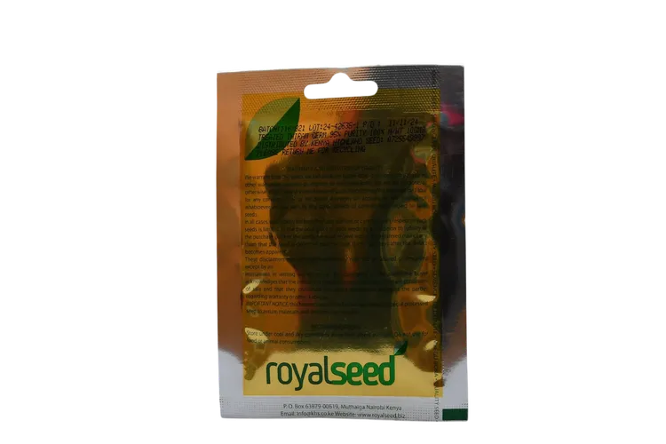 ONION BUNCHING(WHITE LISBON) 10GMS ROYAL