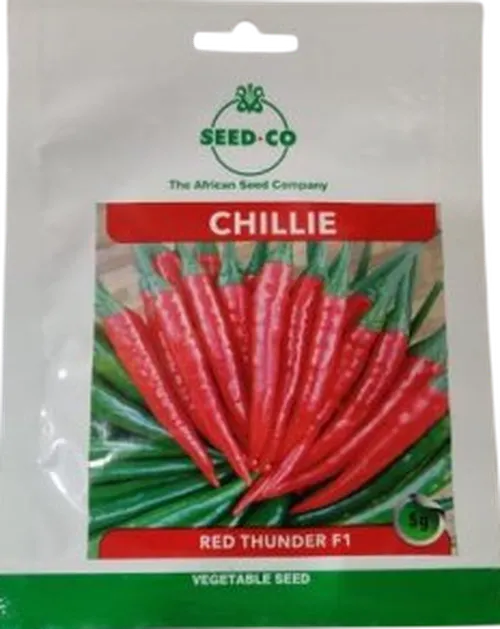 PEPPER RED THUNDER F1 25GMS SEEDCO